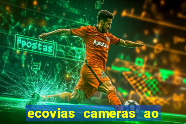 ecovias cameras ao vivo santos